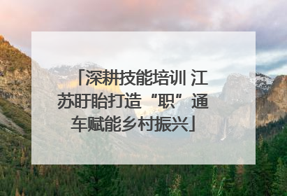 深耕技能培训 江苏盱眙打造“职”通车赋能乡村振兴