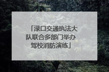 渌口交通执法大队联合多部门举办驾校消防演练