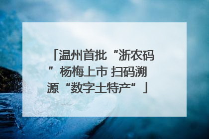 温州首批“浙农码”杨梅上市 扫码溯源“数字土特产”