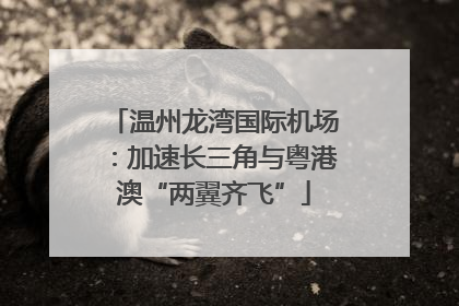 温州龙湾国际机场：加速长三角与粤港澳“两翼齐飞”