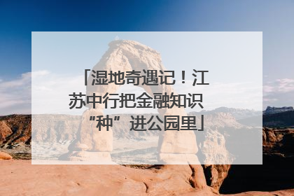 湿地奇遇记！江苏中行把金融知识“种”进公园里