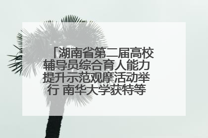 湖南省第二届高校辅导员综合育人能力提升示范观摩活动举行 南华大学获特等奖和一等奖