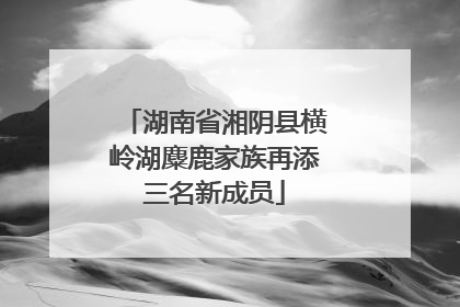 湖南省湘阴县横岭湖麋鹿家族再添三名新成员