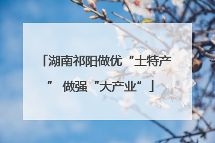 湖南祁阳做优“土特产” 做强“大产业”