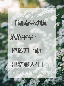 湖南劳动模范范平军：一把砖刀“砌”出精彩人生