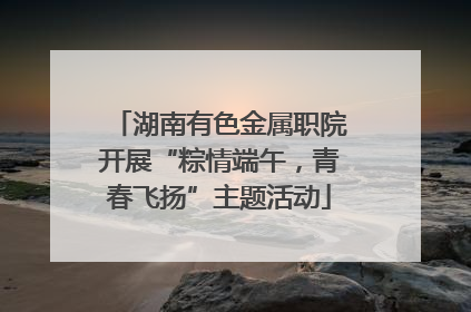 湖南有色金属职院开展“粽情端午，青春飞扬”主题活动