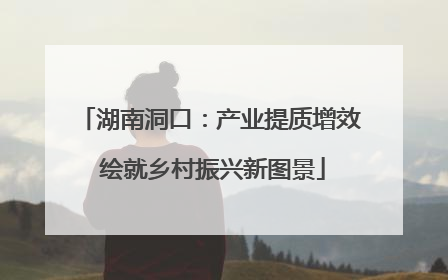 湖南洞口：产业提质增效 绘就乡村振兴新图景