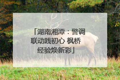 湖南湘潭：警调联动践初心 枫桥经验焕新彩