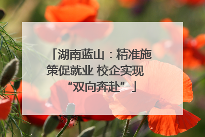 湖南蓝山：精准施策促就业 校企实现“双向奔赴”