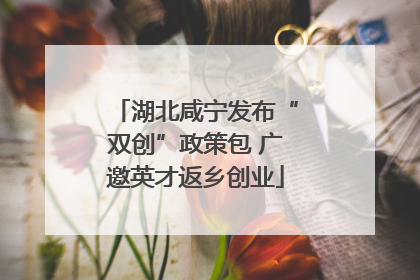湖北咸宁发布“双创”政策包 广邀英才返乡创业