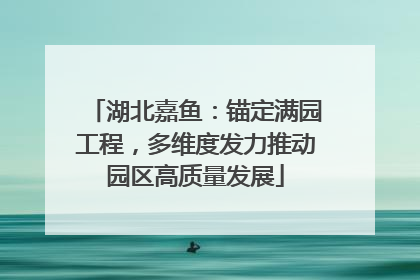 湖北嘉鱼：锚定满园工程，多维度发力推动园区高质量发展