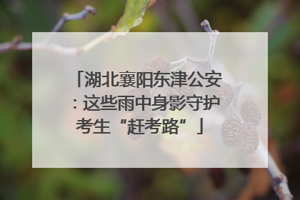 湖北襄阳东津公安：这些雨中身影守护考生“赶考路”