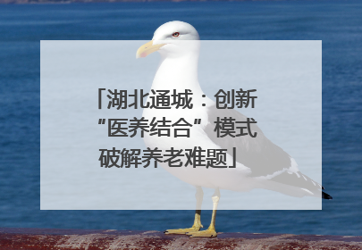 湖北通城：创新 “医养结合”模式 破解养老难题