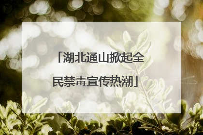 湖北通山掀起全民禁毒宣传热潮