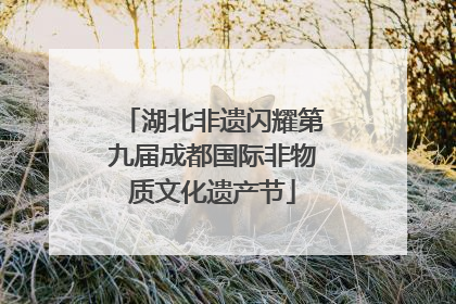 湖北非遗闪耀第九届成都国际非物质文化遗产节