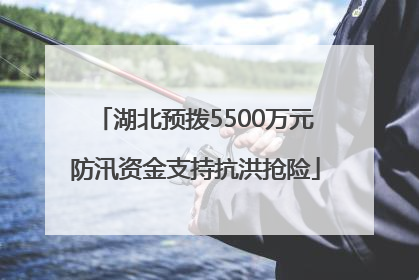 湖北预拨5500万元防汛资金支持抗洪抢险