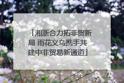 湘浙合力拓非贸新局 雨花义乌携手共建中非贸易新通道