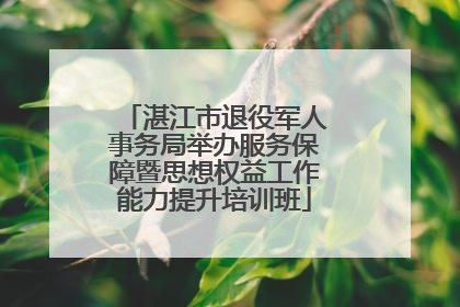 湛江市退役军人事务局举办服务保障暨思想权益工作能力提升培训班