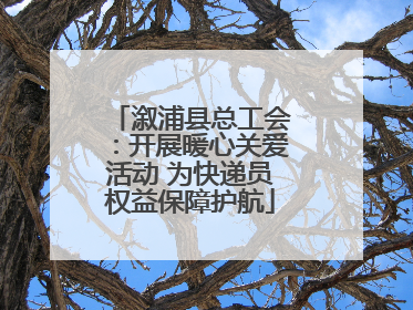 溆浦县总工会：开展暖心关爱活动 为快递员权益保障护航