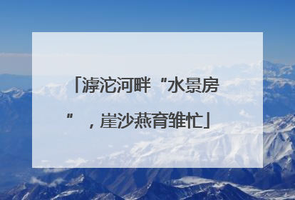 滹沱河畔“水景房”，崖沙燕育雏忙