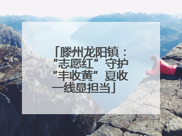 滕州龙阳镇：“志愿红”守护“丰收黄”夏收一线显担当