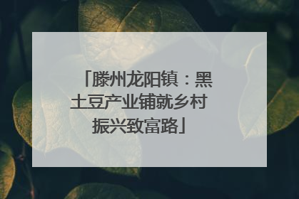 滕州龙阳镇：黑土豆产业铺就乡村振兴致富路