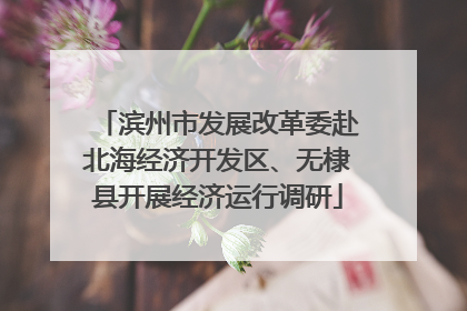 滨州市发展改革委赴北海经济开发区、无棣县开展经济运行调研