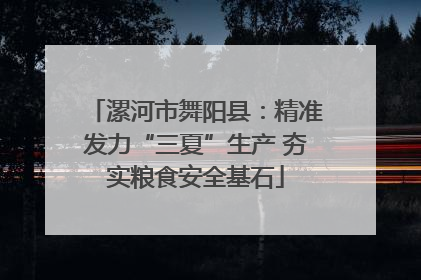 漯河市舞阳县：精准发力“三夏”生产 夯实粮食安全基石