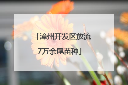 漳州开发区放流7万余尾苗种