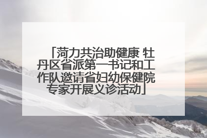 菏力共治助健康 牡丹区省派第一书记和工作队邀请省妇幼保健院专家开展义诊活动