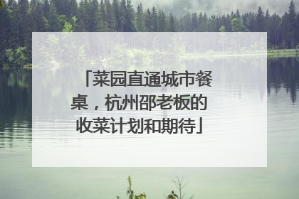 菜园直通城市餐桌，杭州邵老板的收菜计划和期待
