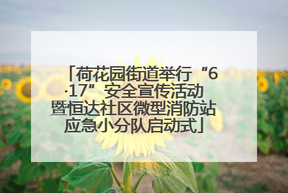 荷花园街道举行“6·17”安全宣传活动暨恒达社区微型消防站应急小分队启动式