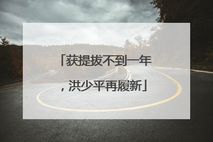 获提拔不到一年，洪少平再履新