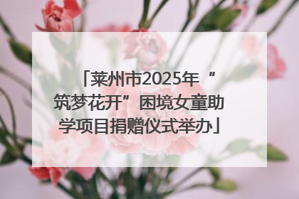 莱州市2025年“筑梦花开”困境女童助学项目捐赠仪式举办