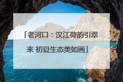 老河口：汉江荷韵引翠来 初夏生态美如画
