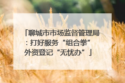聊城市市场监督管理局：打好服务“组合拳” 外资登记“无忧办”
