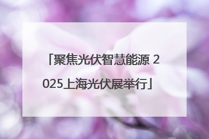 聚焦光伏智慧能源 2025上海光伏展举行