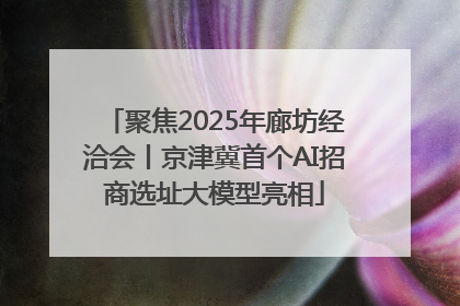 聚焦2025年廊坊经洽会丨京津冀首个AI招商选址大模型亮相