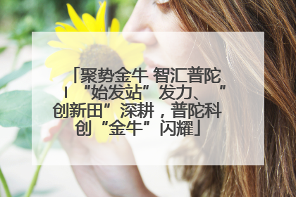 聚势金牛 智汇普陀〡“始发站”发力、“创新田”深耕，普陀科创“金牛”闪耀