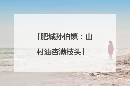 肥城孙伯镇：山村油杏满枝头