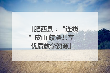 肥西县：“连线”皮山 皖疆共享优质教学资源