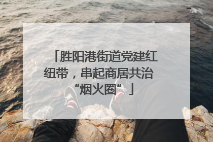 胜阳港街道党建红纽带，串起商居共治 “烟火圈”