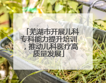 芜湖市开展儿科专科能力提升培训，推动儿科医疗高质量发展