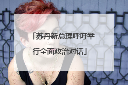 苏丹新总理呼吁举行全面政治对话