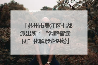 苏州市吴江区七都派出所：“调解智囊团”化解涉企纠纷