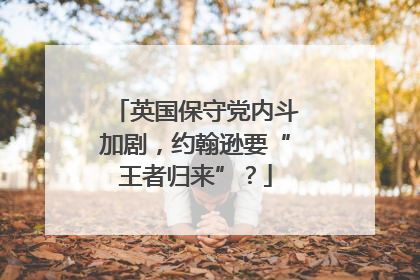 英国保守党内斗加剧，约翰逊要“王者归来”？
