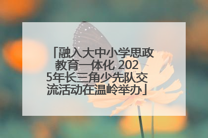 融入大中小学思政教育一体化 2025年长三角少先队交流活动在温岭举办