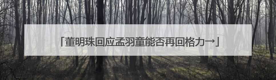 董明珠回应孟羽童能否再回格力→