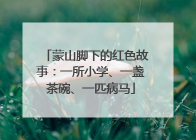 蒙山脚下的红色故事：一所小学、一盏茶碗、一匹病马