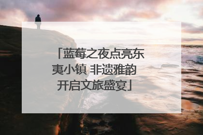蓝莓之夜点亮东夷小镇 非遗雅韵开启文旅盛宴